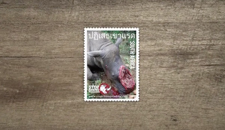 Bild Rhino Stamp Project