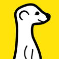meerkat-live-streaming-app