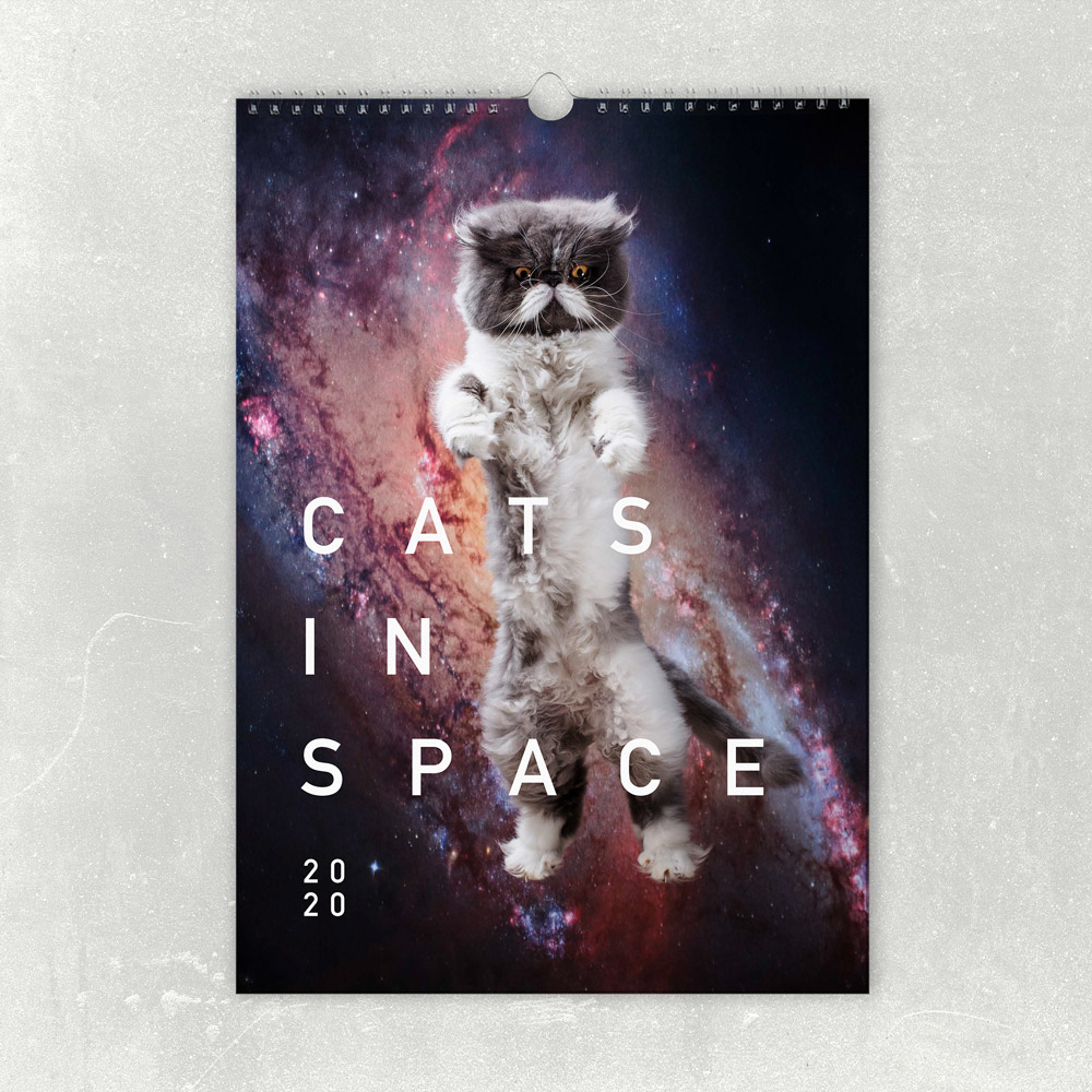 Katzenkalender 2020
