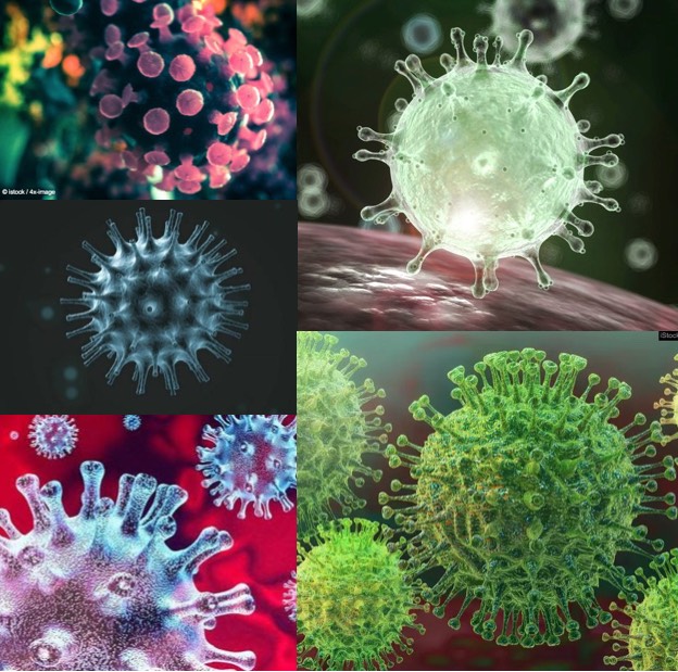 Coronavirus Bilder Wie Sieht Das Virus Wirklich Aus Page Online