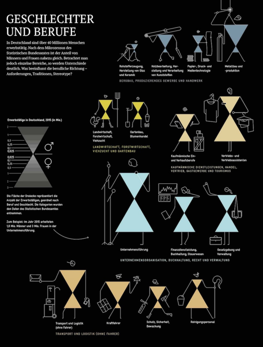 Infografiken Geschlechter und Berufe »Die Welt verstehen mit 264 Infografiken« Jan Schwochow