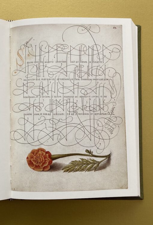 Extravagante Handschriften aus dem 16. Jahrhundert