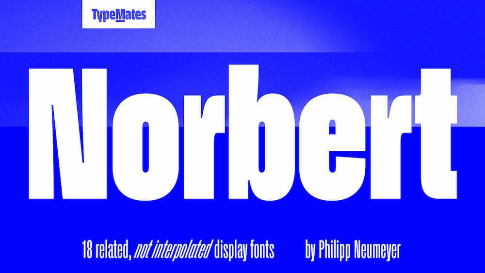 NorbertSummary