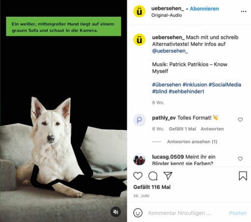 Social Media: Kampagne Übersehen von Katharina Sara-Lifke