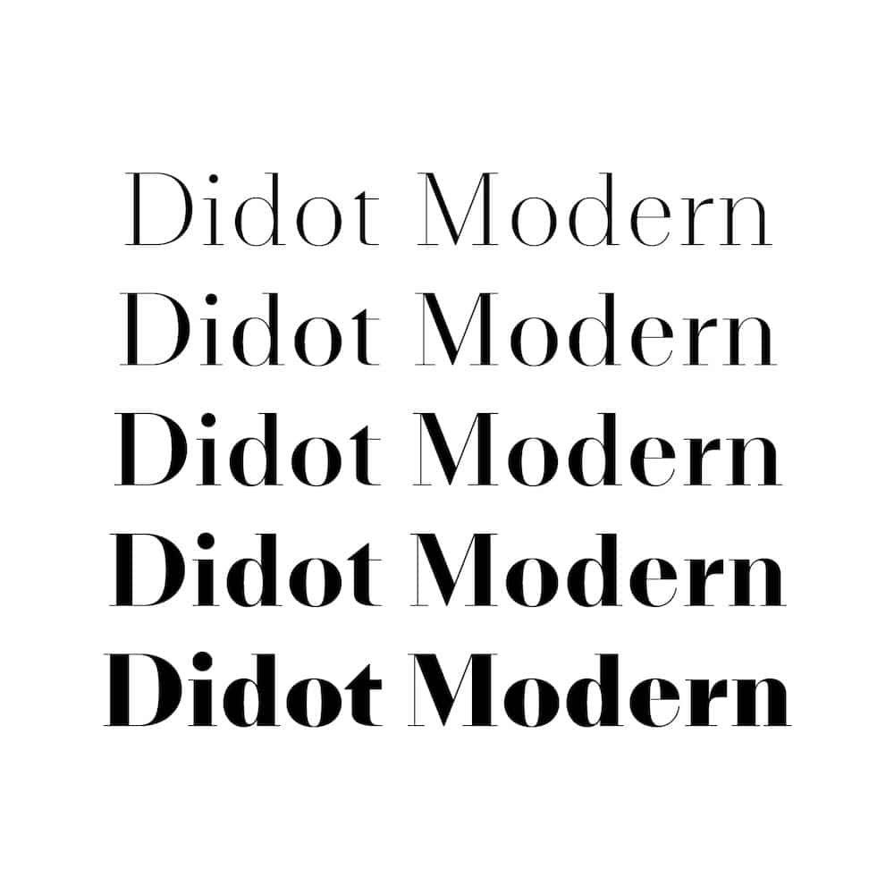 NN-Didot-Modern_Release_Landscape_3
