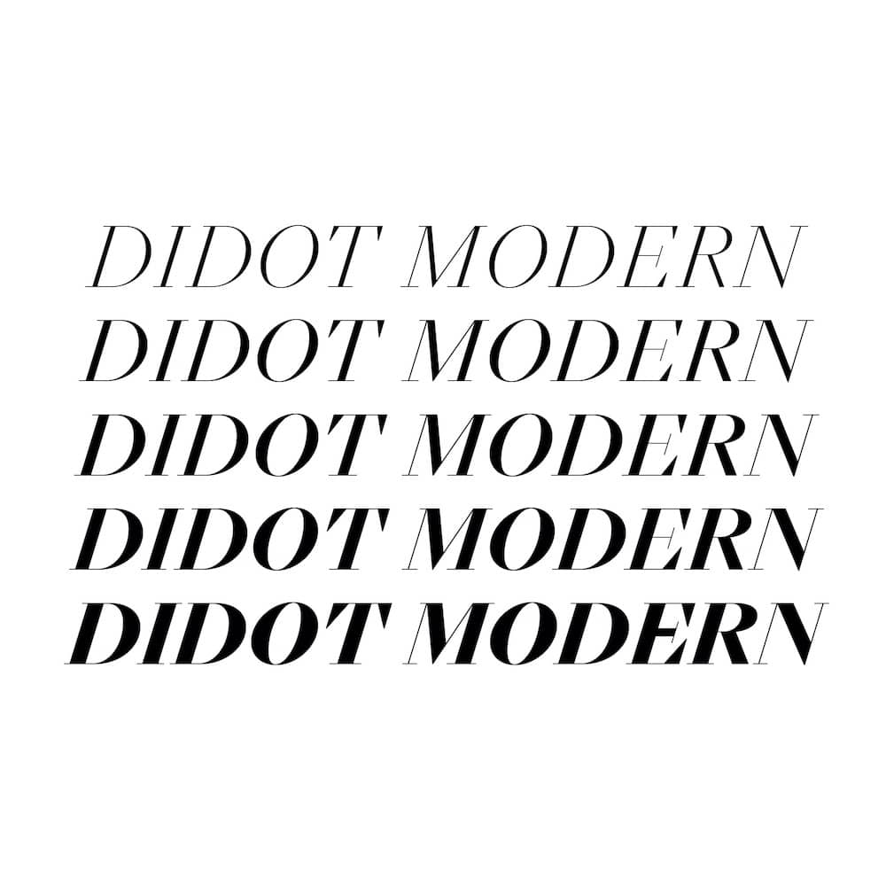 NN-Didot-Modern_Release_Square_2