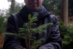 B2B Geschäftsführer Ulli Hantke beim Baum pflanzen