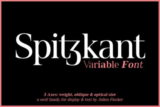 Spitzkant_Cover