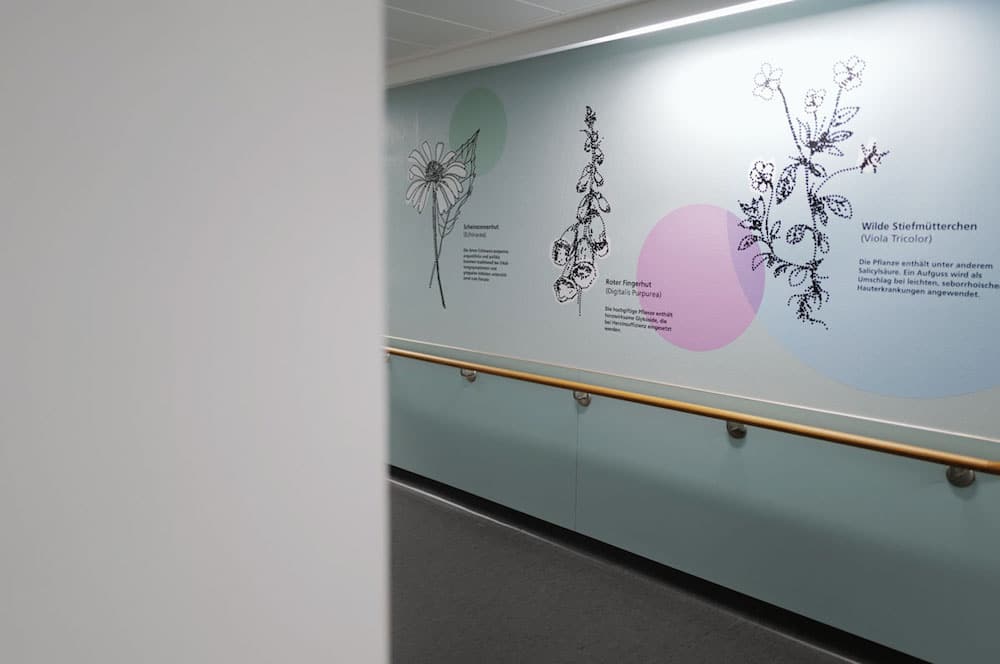 Wand-Illustration für das Katharinenhospital im gepunkteten Stil mit Arzeneipflanzen