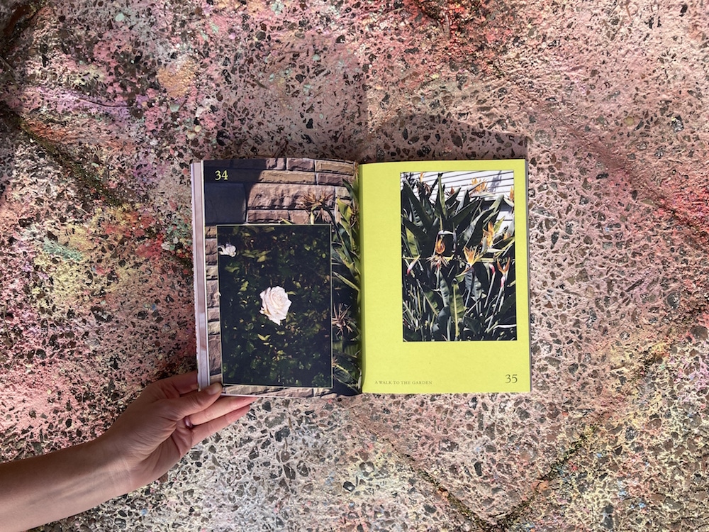 Aufgeschlagenes Nobody Magazin mit Blumenfotos auf Plastersteinen, die in zarten Regenbogenfarben bemalt sind