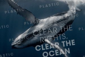 Wal schwimmt hinter dem Claim der Nachhaltigen Kampagne Clear the Rights, Clear the Ocean