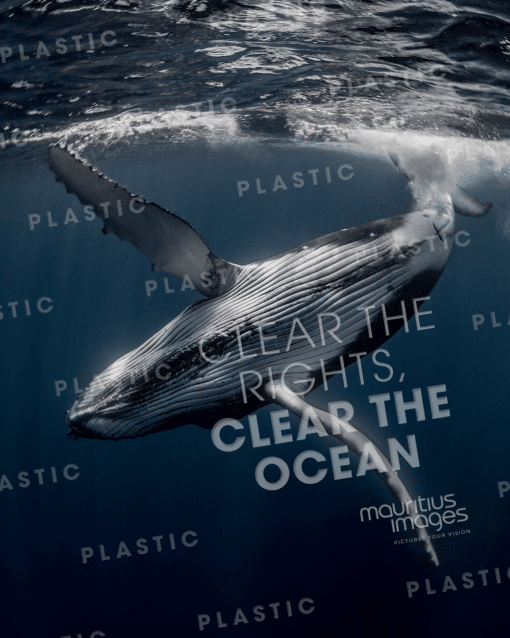 Wal schwimmt hinter dem Claim der Nachhaltigen Kampagne Clear the Rights, Clear the Ocean