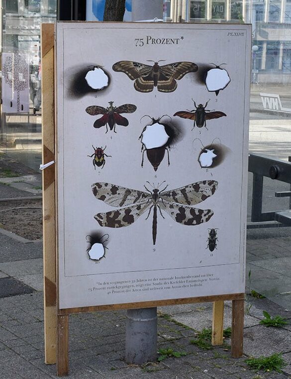 Ein Plakat mit Brandlöchern, die sich durch unterschiedliche Schmetterlingsarten fressen