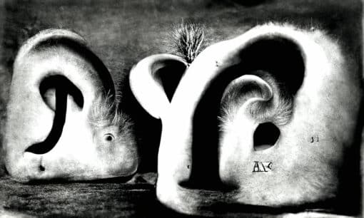 Design und KI: Alphabet of Ears