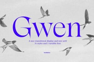 Headline in der Display Font Gwen
