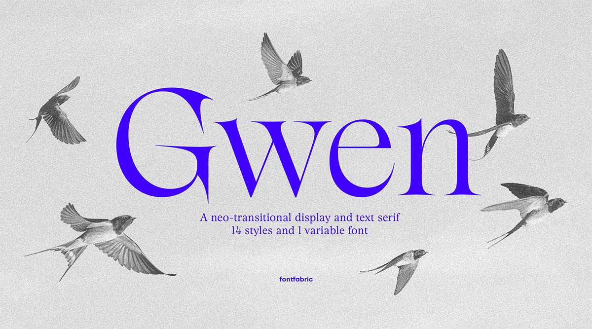 Headline in der Display Font Gwen