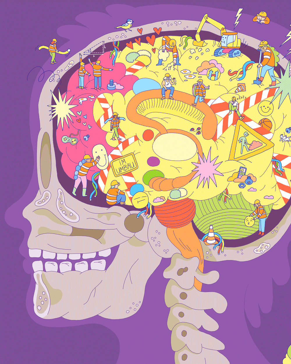 Editorial Illustration von Mirko Röper zum Thema Gehirnentwicklung in der Pubertät. Erschienen ist diese Illustration in DeinSPIEGEL