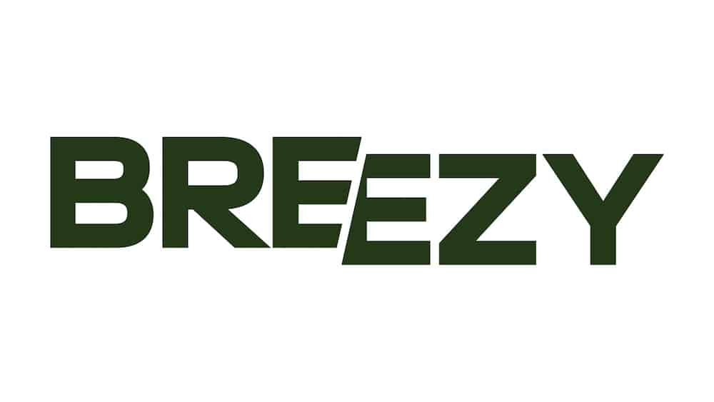 Erscheinungsbild für Cannabis-Brand Breezy: Wortlogo in dunkelgrün mit dem charakteristischen Störfaktor im EE.