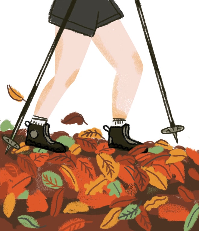 Digitale Illustration von Noemi Fabra, die die Beine einer wandernden Person zeigt. Auf dem Boden liegt buntes Herbstlaub.