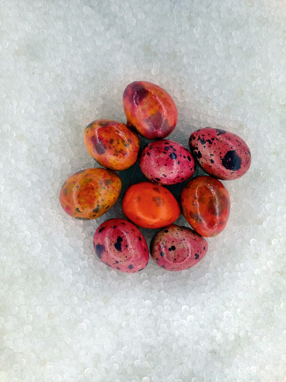 Small eggs in vibrant colors in shades of pink, red and orange with black spots in various sizes. The eggs lay on a white grainy surface.