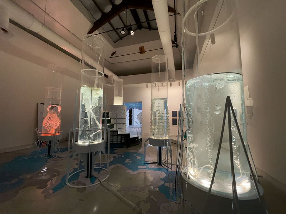 Exhibition view of the Installation Hallow Ocean at the 2021 Venice Biennale. Huge Water Tanks in a room makes it feel like a laboratory of some sorts. In the water tanks are fragile objects by Pinar Yoldas.