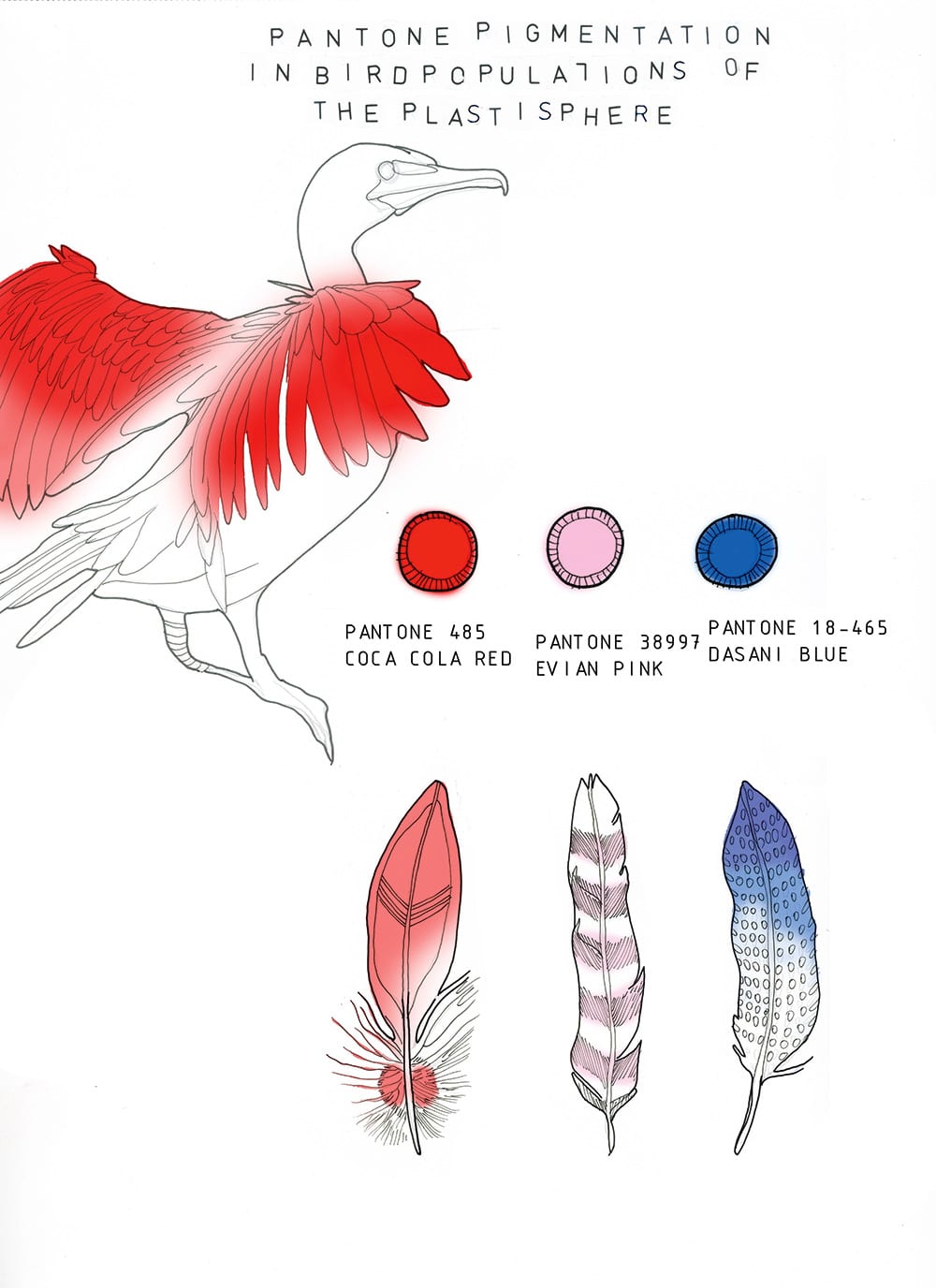 Drawing of a bird with red feathered wings with the title »Pantone Pigmentation in Bird Populations of the Plastisphere« written above the drawing. Below you find the drawing of three bottle caps labeled with the names of the colors they are drawn in: Pantone 485 / Coca Cola Red (left), Pantone 38997 / Evian Pink (Middle) and Pantone 18-465 / Dasani Blue (right). Below the colored bottle caps there are three feathers depicted that are colored in the colors of the bottle caps.