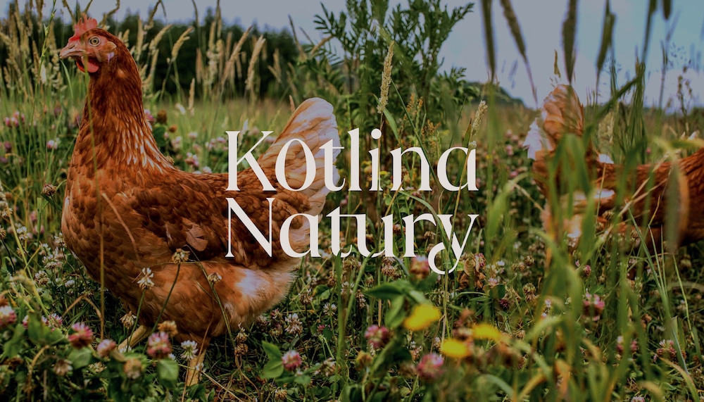 Visual Identity für den Hühnerhof Kotlina Natury: Im Hintergrund ein Foto von Hühnern auf einer Blumenwiese. Im Vordergrund die der Custom-Font mit Ei-O