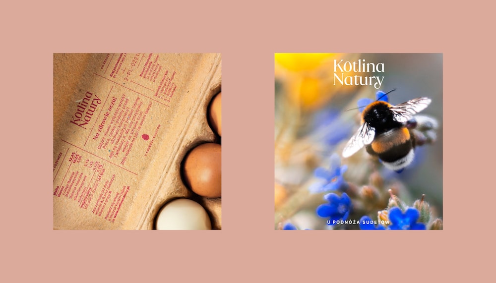 Visual Identity für den Hühnerhof Kotlina Natury: Links eine nahe Ansicht von der Innenseite des Eierkartondeckels, Rechts ein Foto von einer Hummel an einer blauen Blüte mit dem Schriftzug 