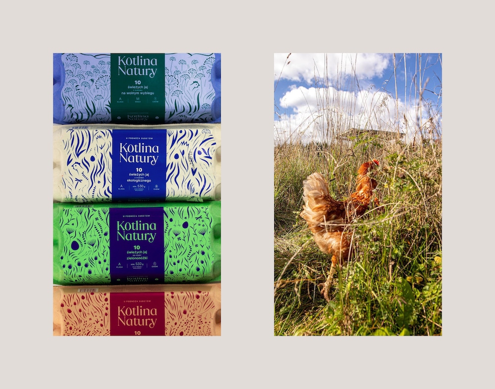 Visual Identity für den Hühnerhof Kotlina Natury: Links vier verschiedene Packaging Designs mit dem Custom Font und blumigen Illustrationen. Rechts das Foto von einem Huhn, das auf einer Blumenwiese spazieren geht