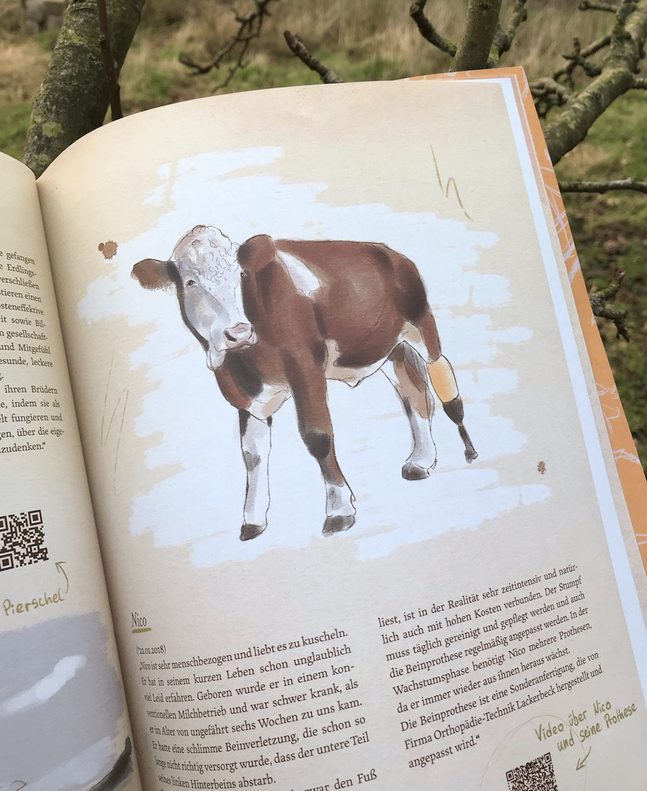 Doppelseitige Illustration mit Kuh, Zine-Layout von Janieke Möbes