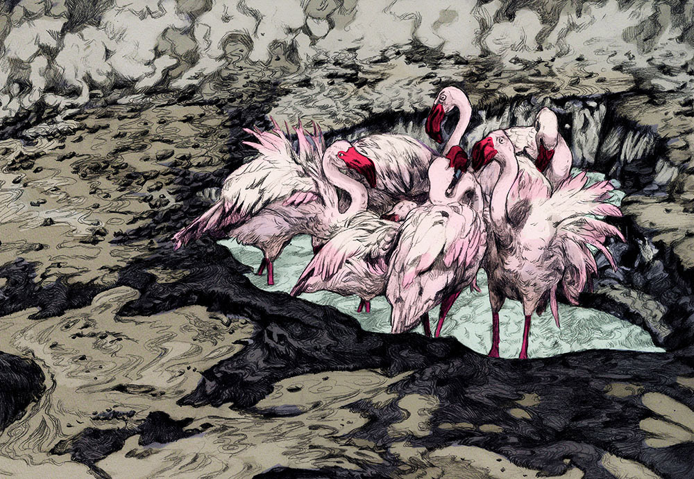Illustration von Julia Sophie Plath: Flamingos in karger Landschaft