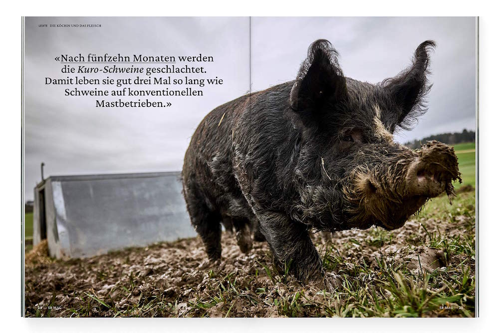 Doppelseite aus demneuen Schweizer Bauer Magazin, auf dem ein großes Kuro-Schwein auf dem Feld oder der Wiese zu sehen ist. 