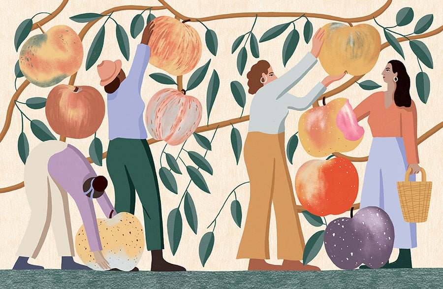 Illustration von Tatjana Prenzel von Personen, die riesige Äpfel pflücken