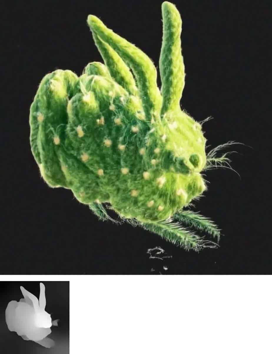 Das Bild eines Hasen aus Kaktus-Material