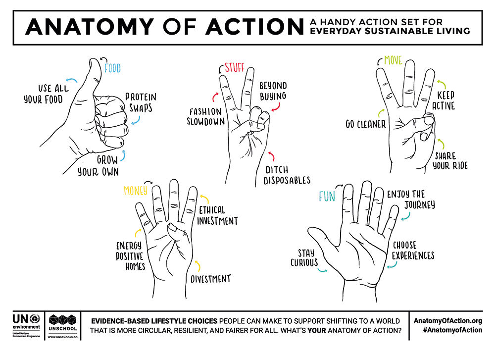 Schaubild »Anatom of Action«, das anhand von fünf Hand-Illustrationen Entscheidungsfindung für nachhaltige Lebensführung ermöglicht