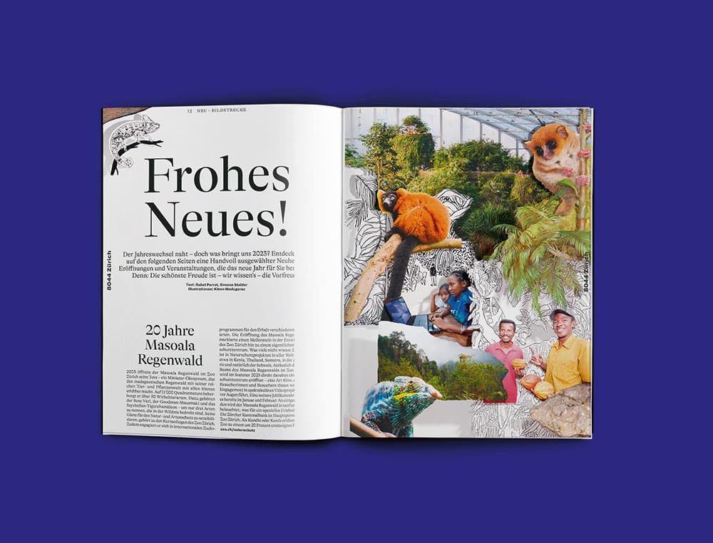 Doppelseite aus dem ZH-Magazin zum Thema "Neu". Hier ist ein Artikelaufmacher zu sehen, mit der Headline und dem Beginn des Textes auf der linken, einer collagierten, vollseitigen Illustration auf der rechten Seite.