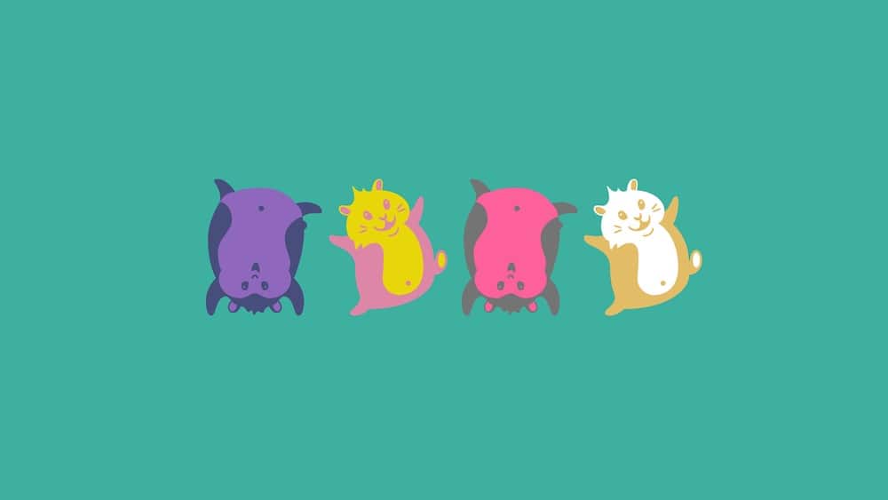 Variable Color Font "Hamster": Vier Hamstericons in unterschiedlichen Farbvarianten