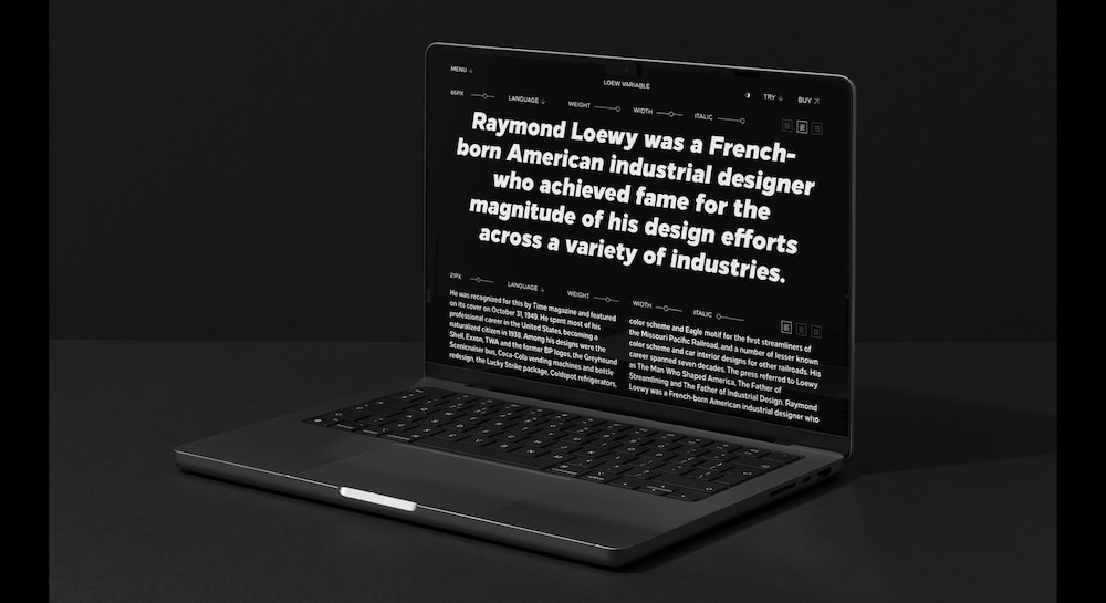 Loew.Laptop