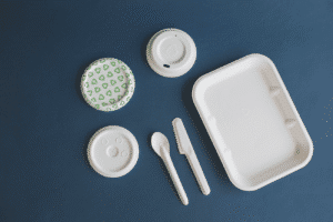 Nachhaltiges Packaging: Einweggeschirr aus Dry Moulded Fiber
