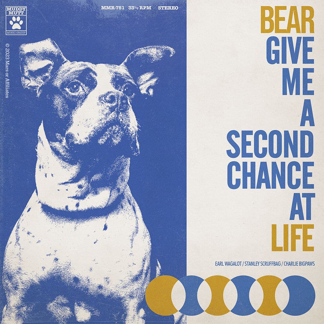 Ein Albumcover mit einem blau eingefärbten Hund und gelber Schrift