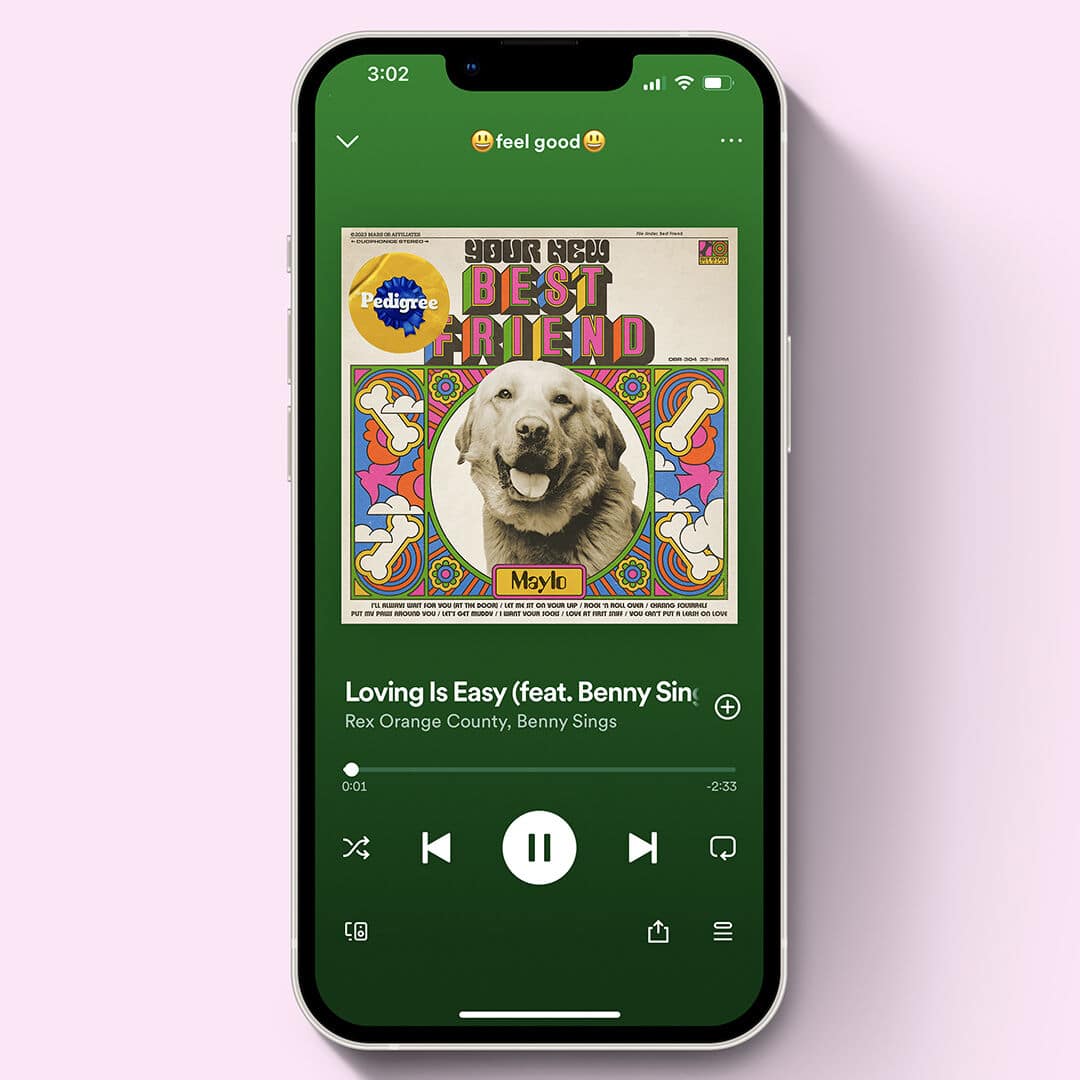 Ein Mobiel Screen der Spotify Playlist mit einem Hunde-Cover als Artwork