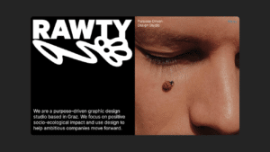 Web-Startseite von Rawty mit Schrift Purpose-driven Studio und Marienkäfer-Foto