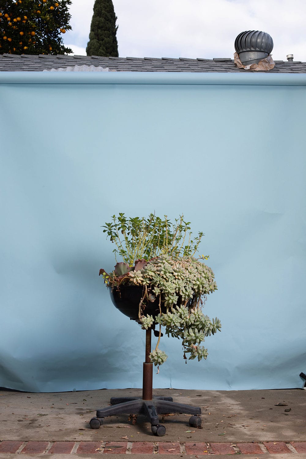 Vor einer blauen Wand steht ein bepflanzen Blumentopf auf dem alten Untergestell eines Bürostuhls
