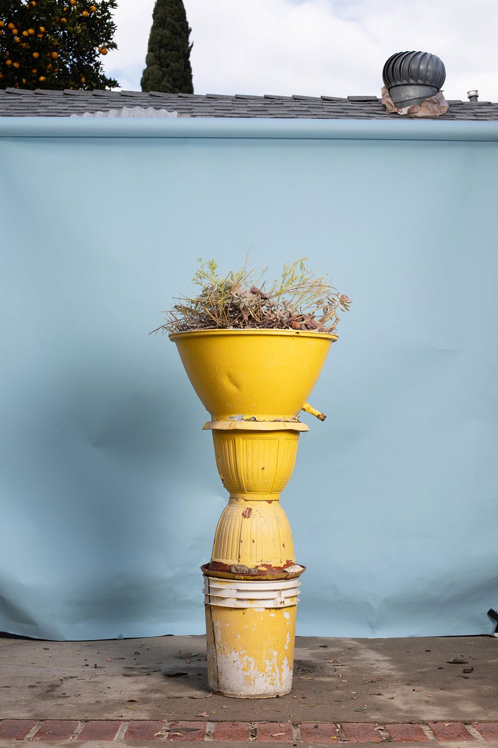 Vor einer blauen Wand stehen verschiedene gelbe Gefäße übereinander. Das oberste Gefäß ist bepflanzt.