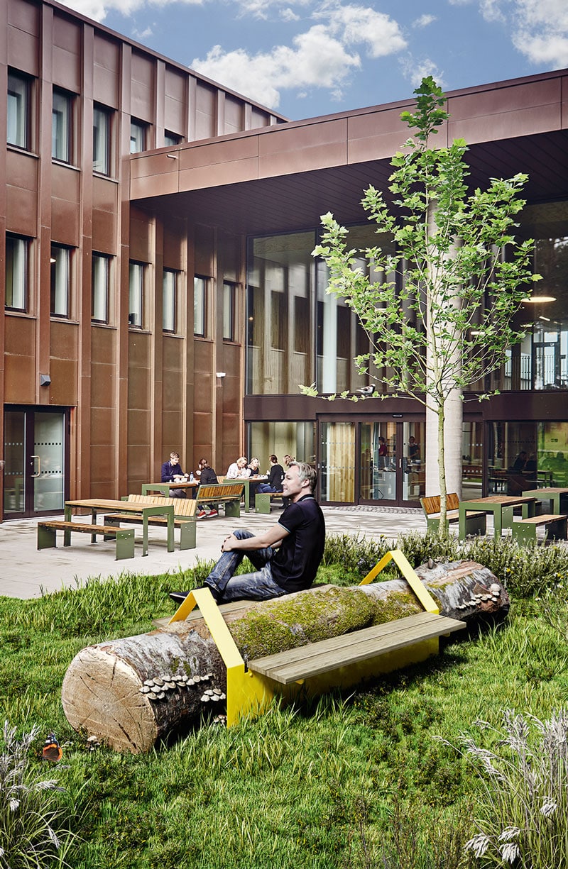 Eine Person sitzt auf einer Sitzbank, die über einem umgefallenen Baumstamm platziert ist. Im Hintergrund ein Gebäude mit mehreren Personen an Tischen und Bänken