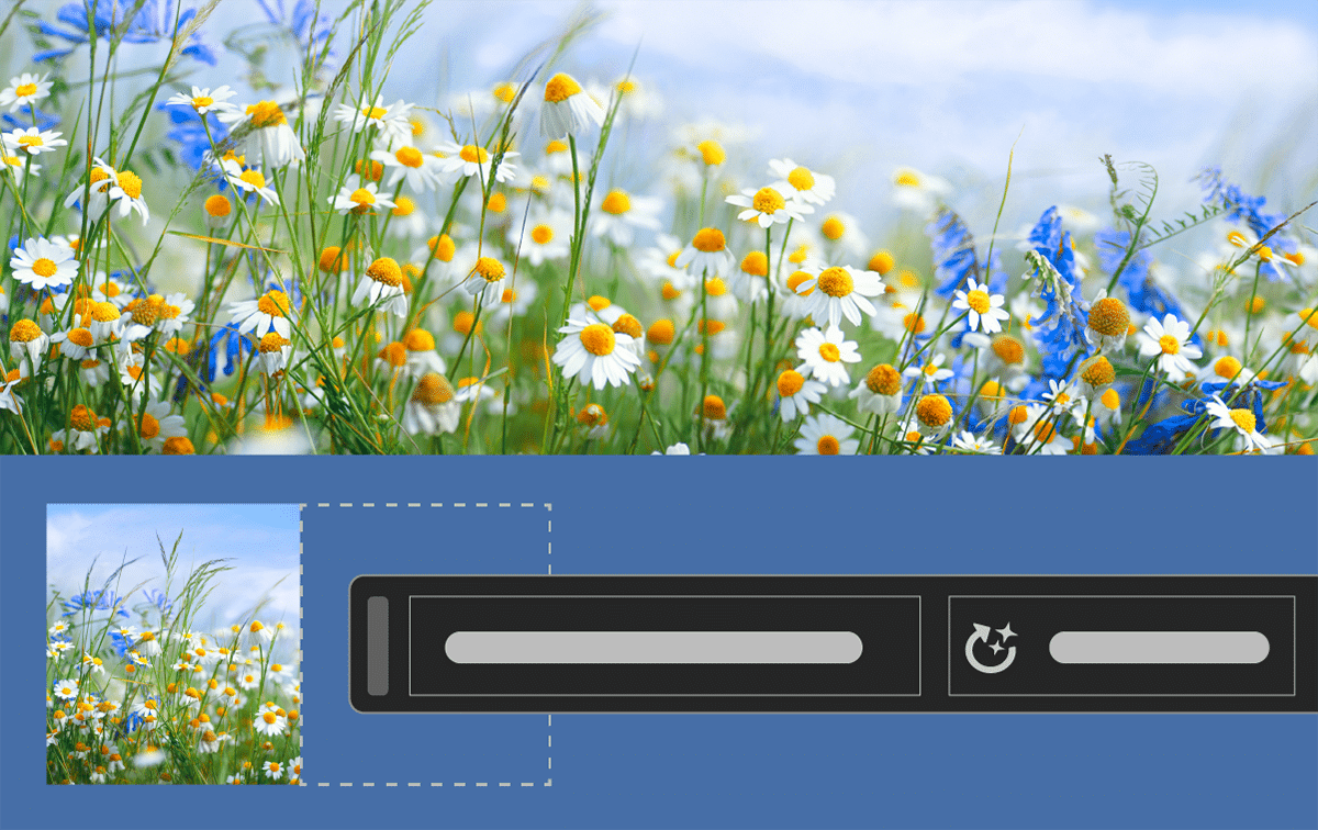 Vorher nachher Bilder, die die Funktion des generative Fill in Photoshop zeigen: Ein Foto von einer Blumenwiese wird generativ verlängert