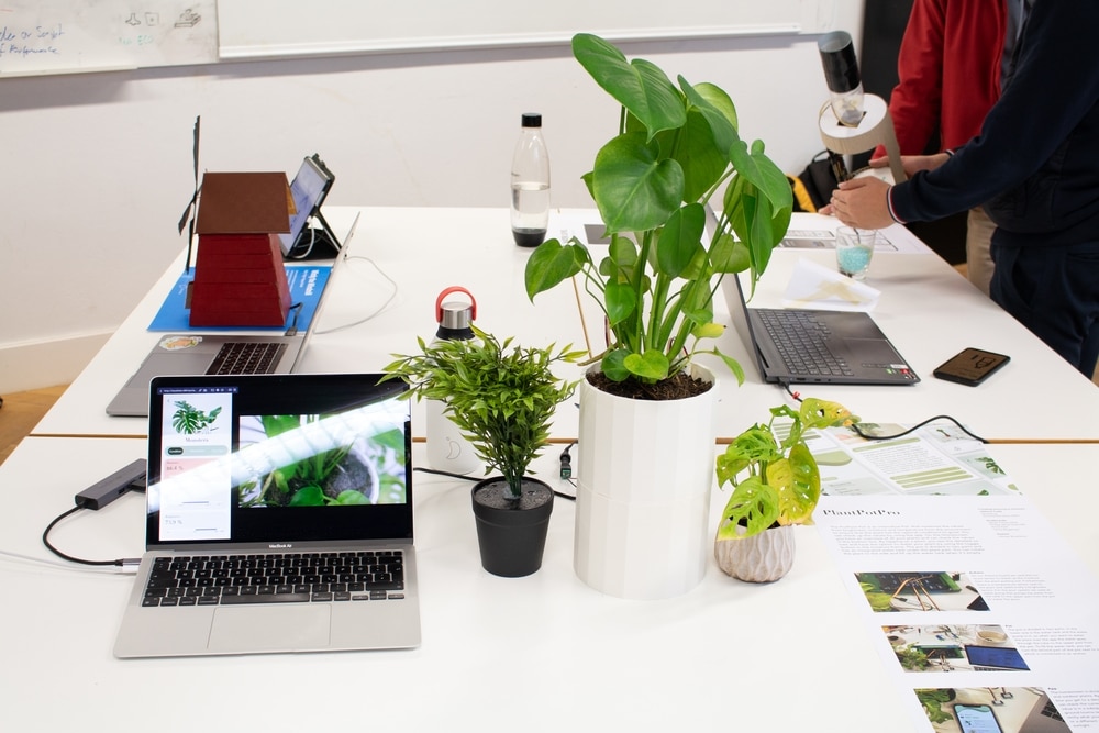 Prototyp Plant pro, Pflanzen, Rechner