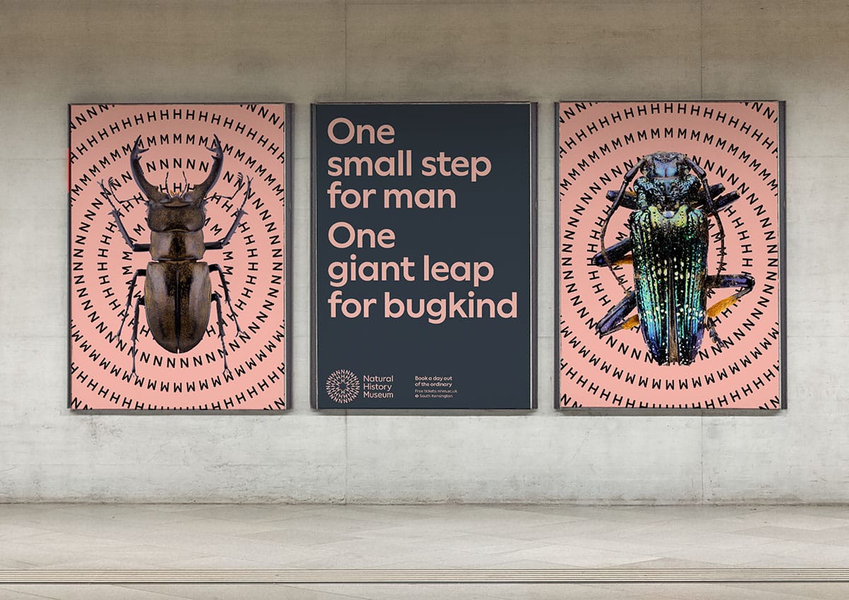 Drei Poster mit verschiedenen Käfern und einer großen Headline in der Mitte