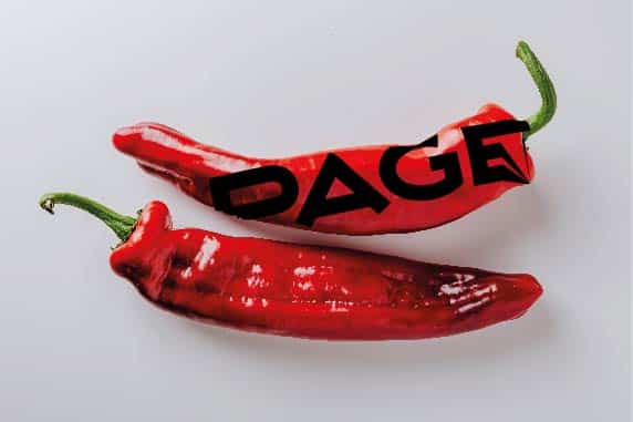 zwei rote Chilis. auf der oberen schote steht ein verzogener page logoschriftzug