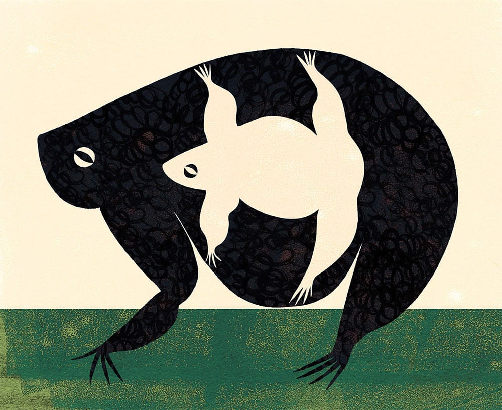 Porträt der Woche Jordan Amy Lee, Illustration Frogs in Love